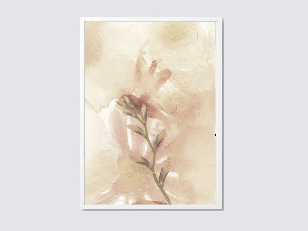 Beige Anemone flower printed Poster in timber frame for master bedroom