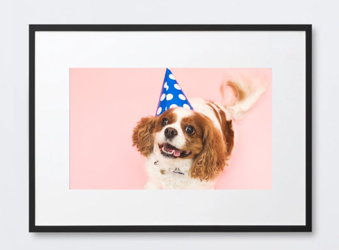 Cute Dog Ready to Party Poster in Timber Frame for Kids Room