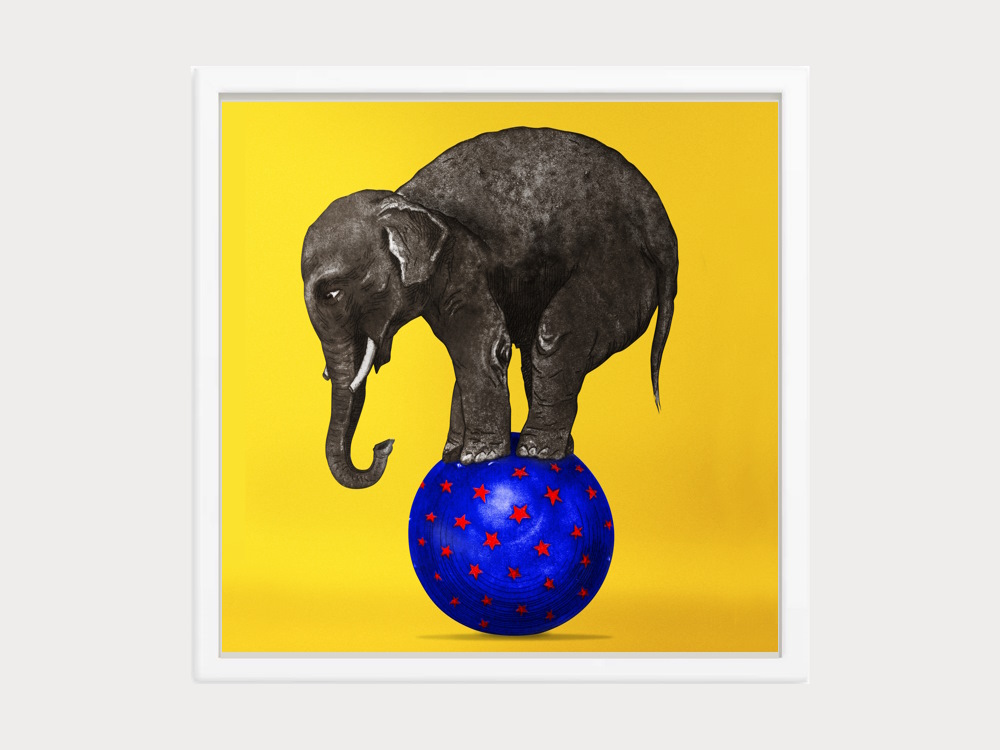 Elephant balancing on Purple ball with Red stars Printed Art Framed in South Morang Melbourne