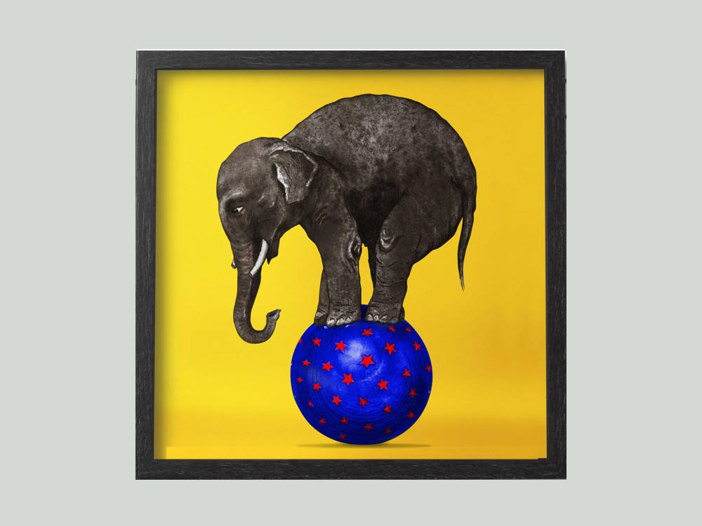 Elephant balancing on Purple ball with Red stars Printed Art Framed in South Morang Melbourne2