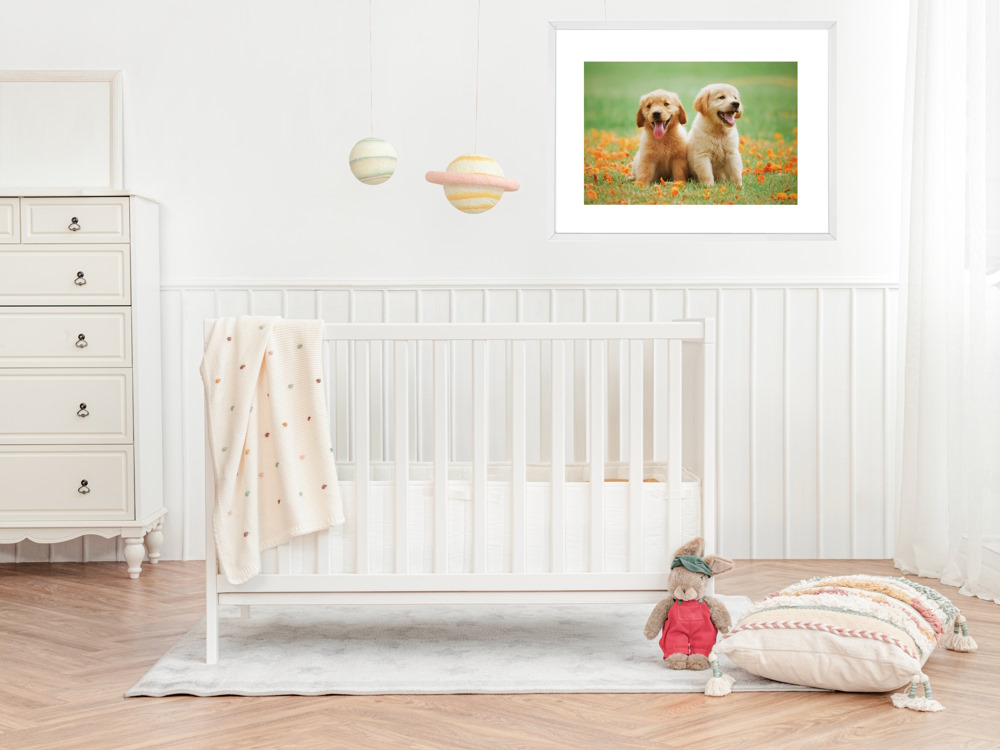 Golden Retriever Puppies Framed Poster Wall Print for Kids Room