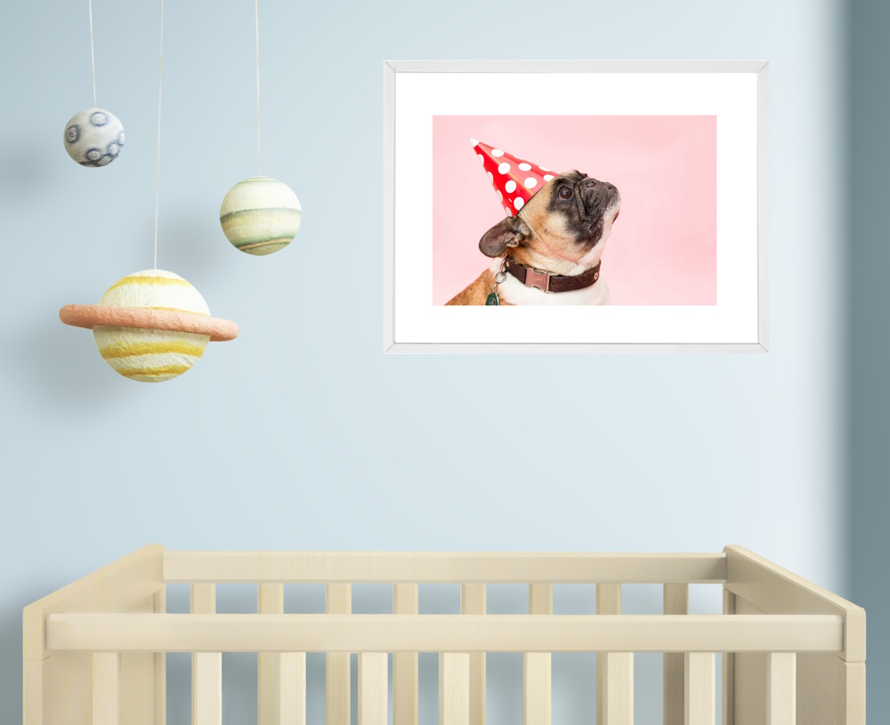I Want to Go to the Party, Pug Dog with Party Hat Framed Wall Art2