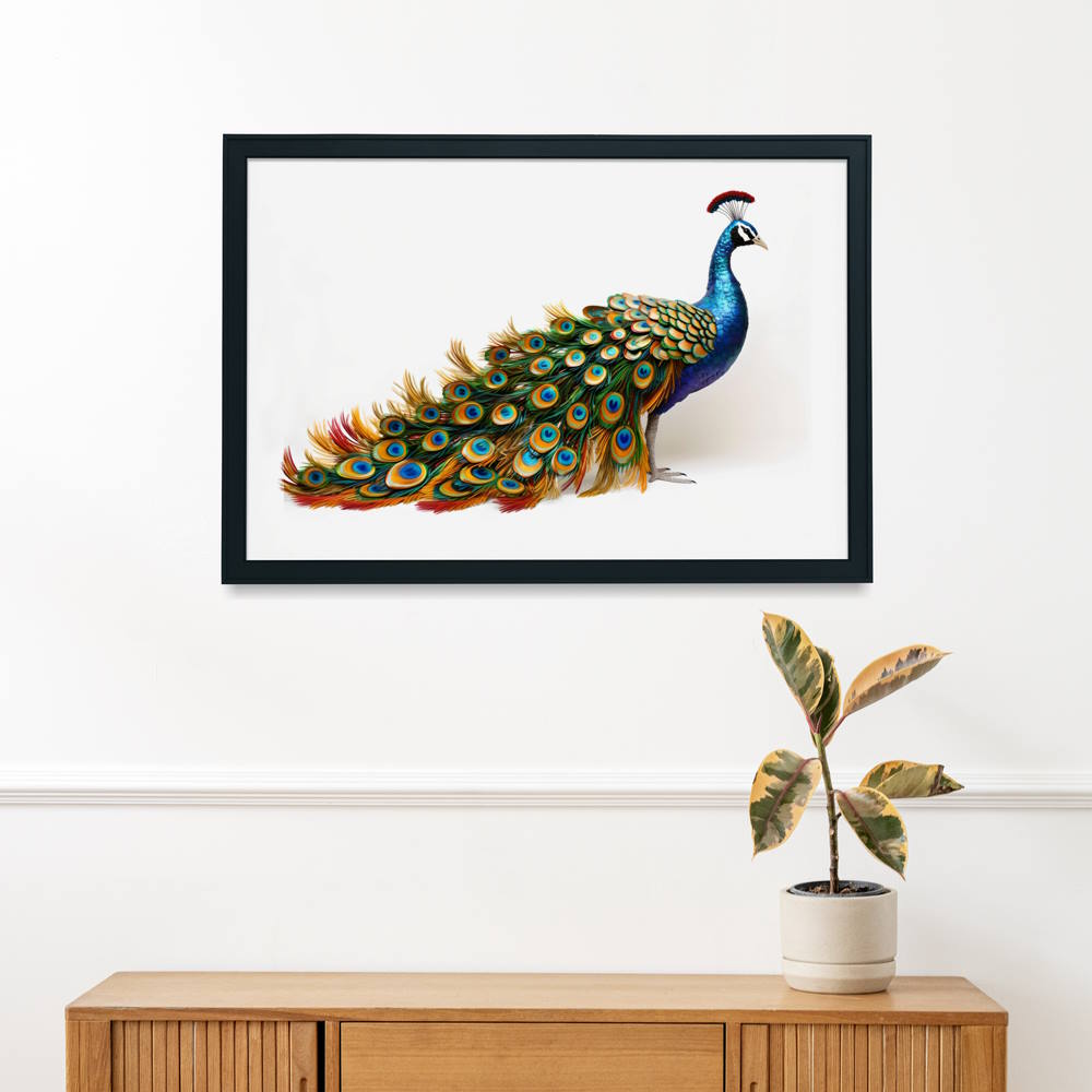 Peacock of Many Colours Printed Poster Wall Art