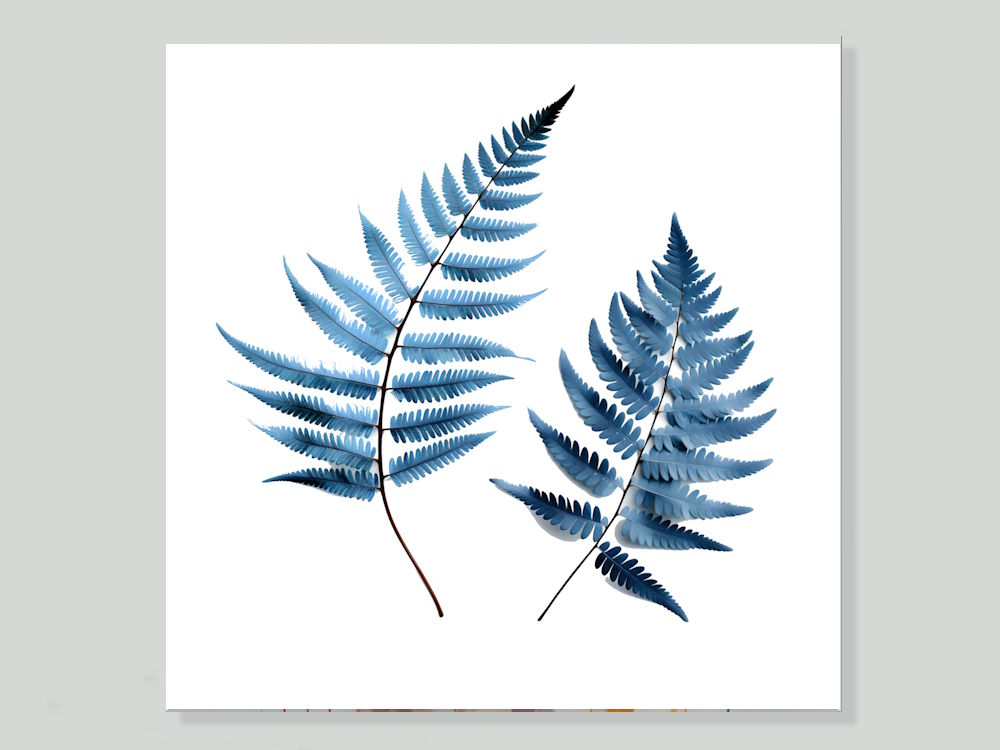 Blue Fern Leaves Printed Canvas Wall Art in Coastal Setting